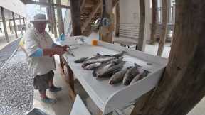Shell Beach Speckled Trout Island Hopping Burning Gas Looking For Big Trout 