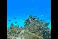 Cozumel Diving Trip 2025 – Discover
