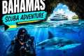 Week of Scuba Diving in Bahamas on a