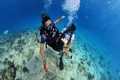 Tourist Alleges Scuba Diving