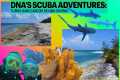 Turks and Caicos SCUBA diving with