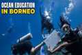 Marine Biology School Field Trip in