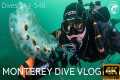 SCUBA Monterey Dive Travel Vlog -