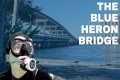 Diving the Blue Heron Bridge - A