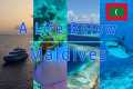 ALB Diving Maldives/ Liveaboard/