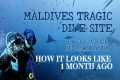 Diving the Tragic Maldives Site: