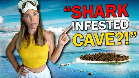 Maldives Diving Incident: 7 Media Myths Debunked! (Dive Pro Perspective)