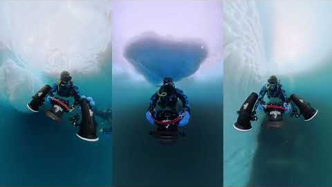 Scuba Diving Antarctica January 2026 - Trip Recap