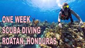 Scuba Diving in Roatan, Honduras